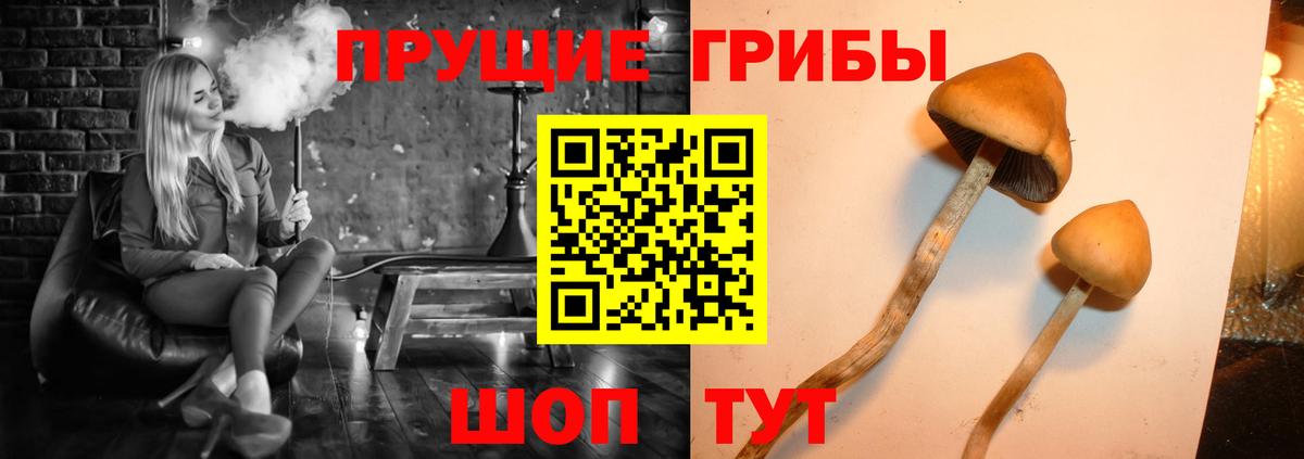 Галлюциногенные грибы ЛСД  Галлюциногенные грибы MAGIC MUSHROOMS  Вход с VPN  Холмск 